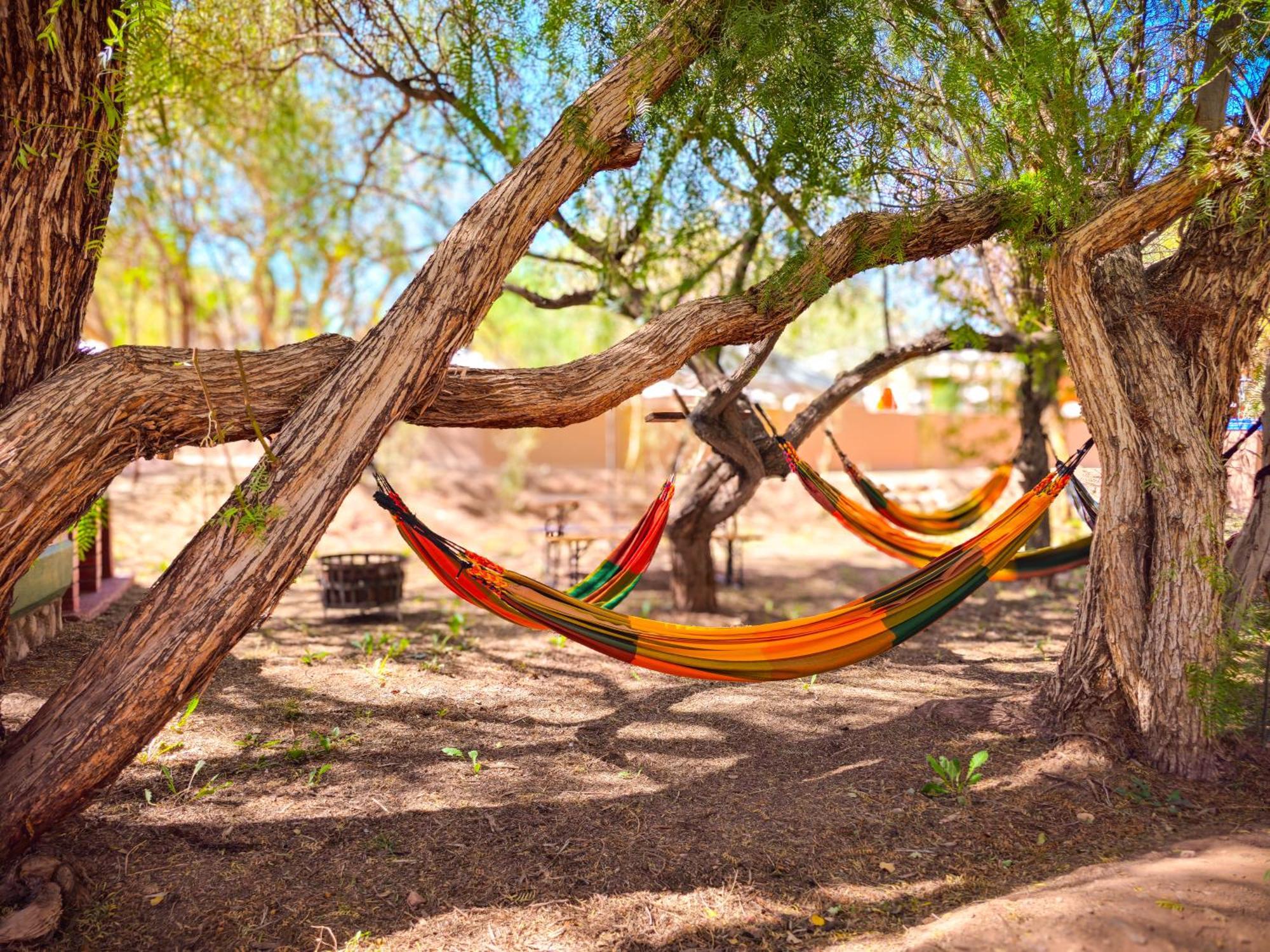 Lodge Ancar Atacama 圣佩德罗·德·阿塔卡马 外观 照片